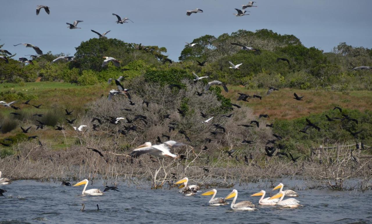 De Hoop Collection - Opstal Houses De Hoop Nature Reserve Exterior foto